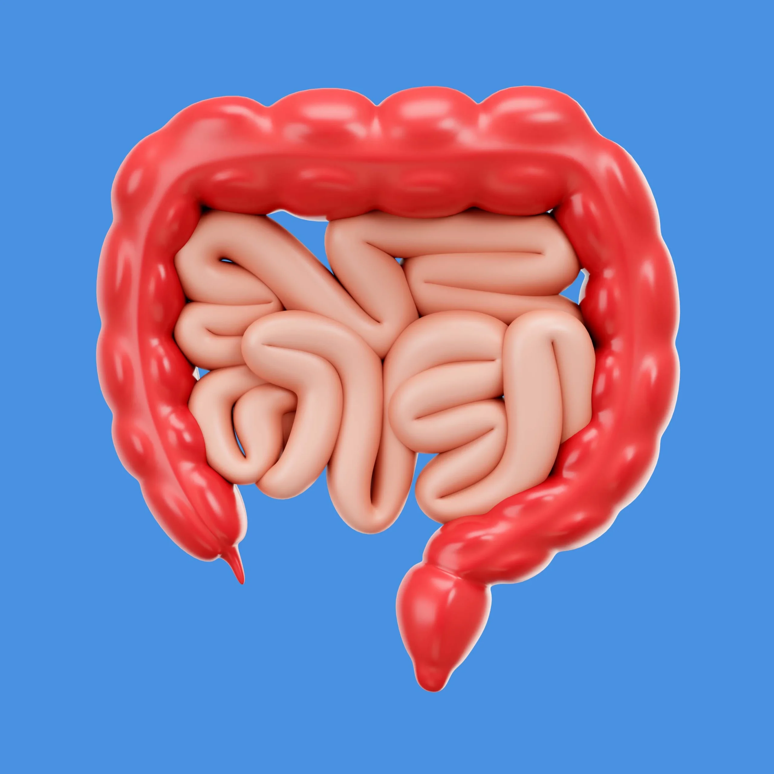 ¿Qué es la microbiota intestinal?